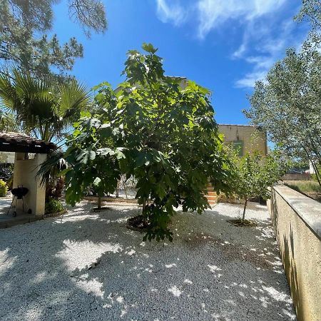 Marseillan Plage Joli T2 Екстер'єр фото